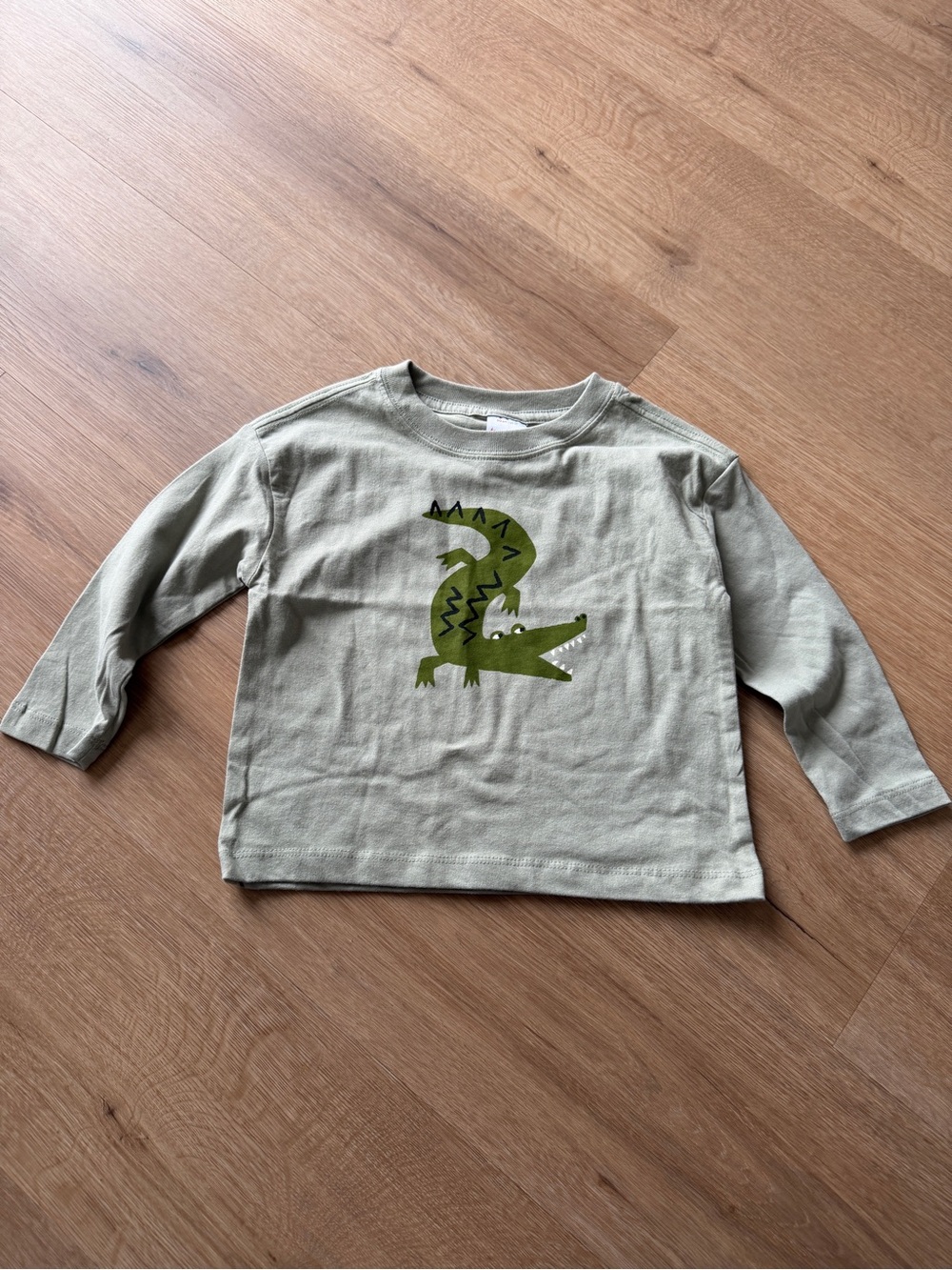 Hanna Andersson Olive Green Long-Sleeve Tee with Crocodile Graphic